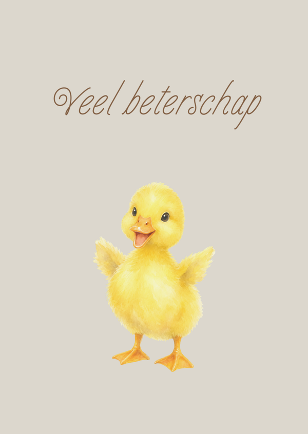 Beterschap kuikentje