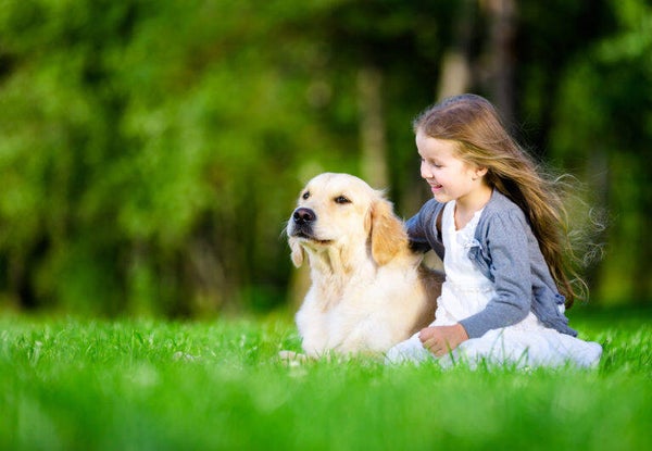 August 2025 Hundecamp
