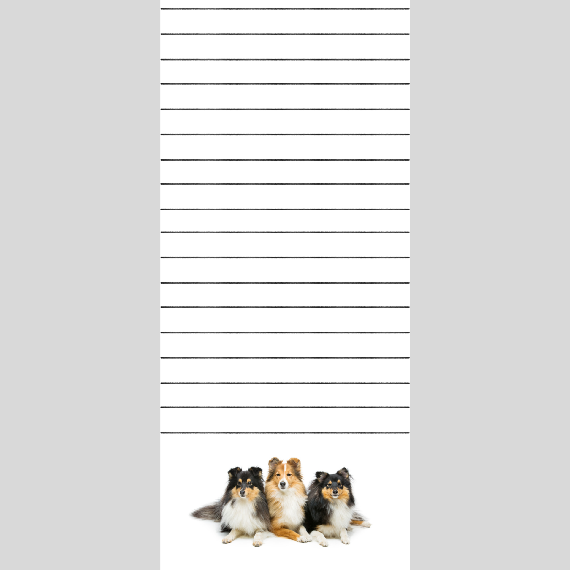 Beautiful Dogs Note Pad 3.5 x 8in