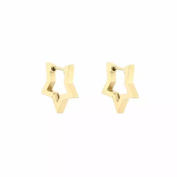 Oorbellen Ster ring - Goud