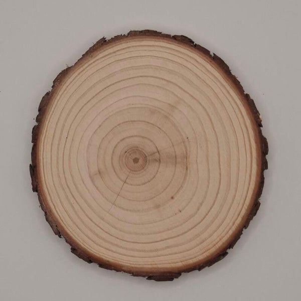 Tranche en bois de pin (9-10 cm)