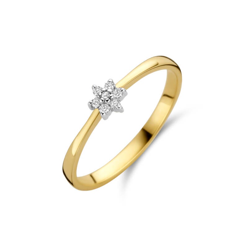 BS999.853  € 730,-