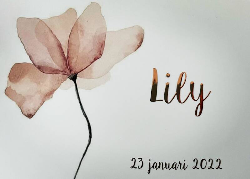 doula, zwanger, geboorte, bevallen, zwangerschapscursus, doula, geboortecoach, bevallingscoach, geboortepartner, geboortebegeleiding, Kraamzorg, kraamhulp, kraamdoula, postpartum doula, kraamtijd, kraamperiode mechelen, zemst, haacht, londerzeel, bonheide