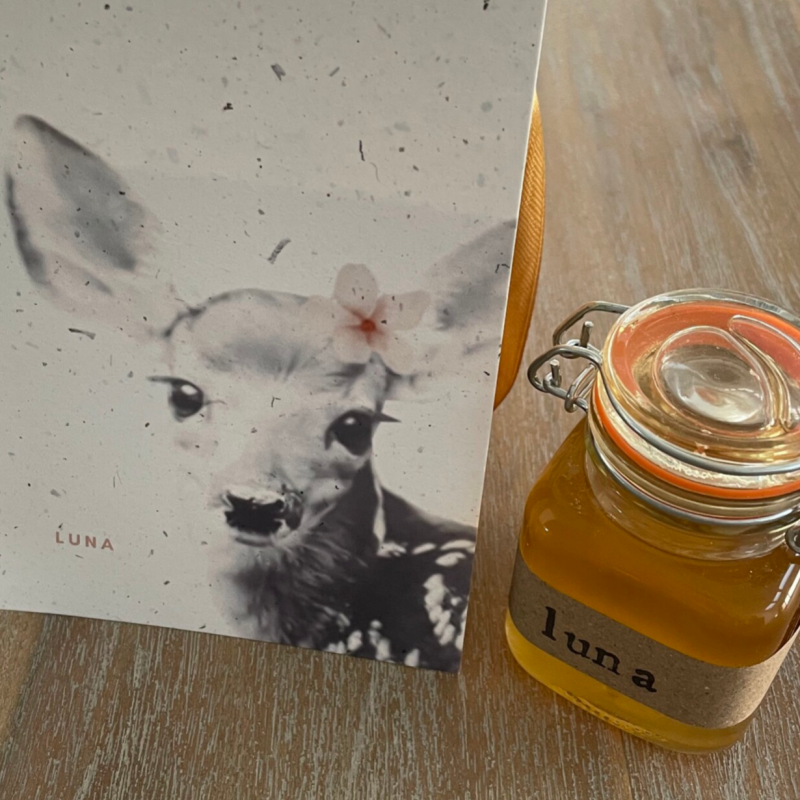 doula, zwanger, geboorte, bevallen, zwangerschapscursus, doula, geboortecoach, bevallingscoach, geboortepartner, geboortebegeleiding, Kraamzorg, kraamhulp, kraamdoula, postpartum doula, kraamtijd, kraamperiode mechelen, zemst, haacht, londerzeel, bonheide