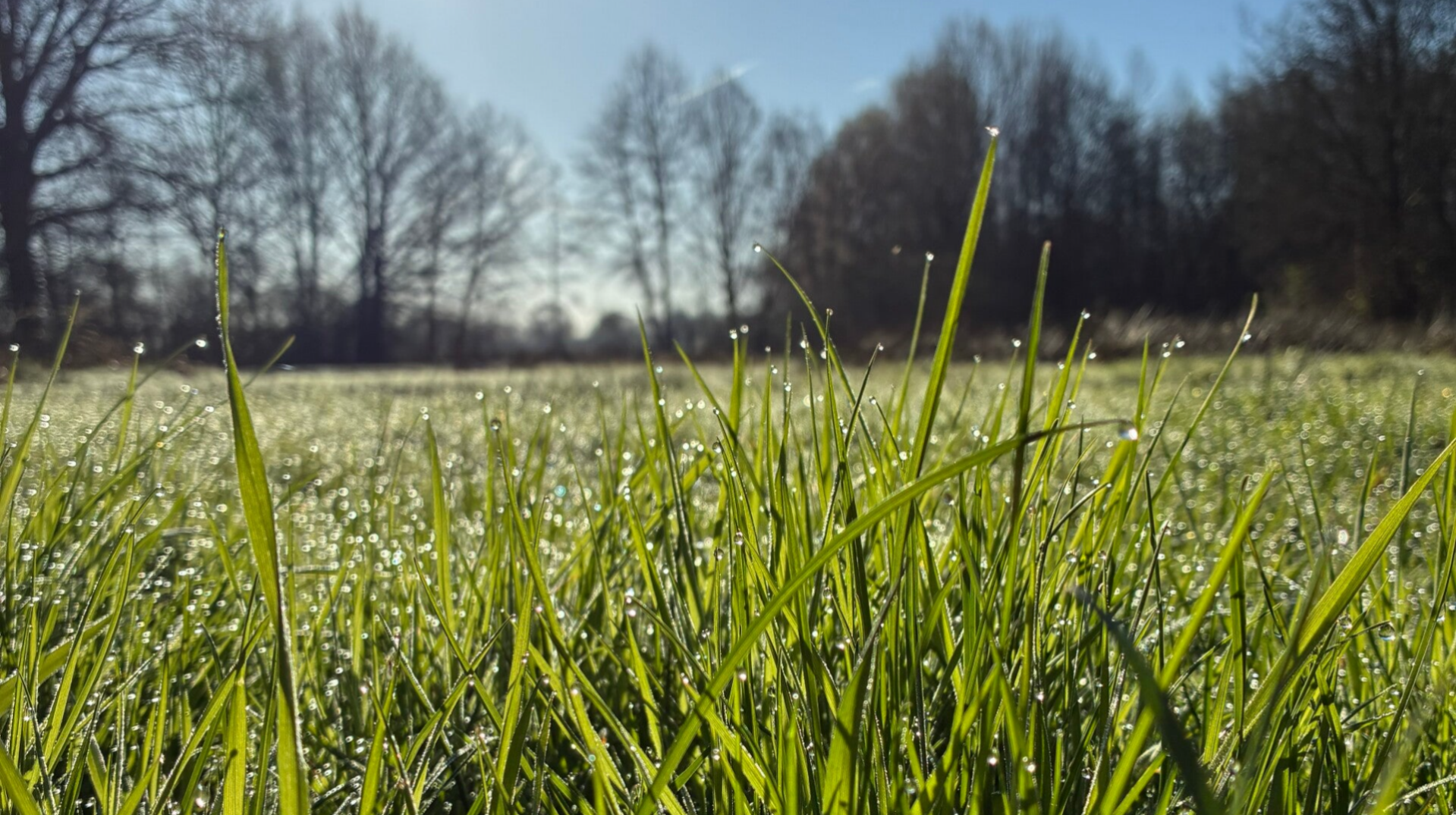 verlieswandeling, wandeltherapie, zwangerschapsverlies, miskraam, abortus, zwangerschapsafbreking, abortusverwerking, mechelen, zemst hombeek, doula, doulabegeleiding, rouwen om je baby