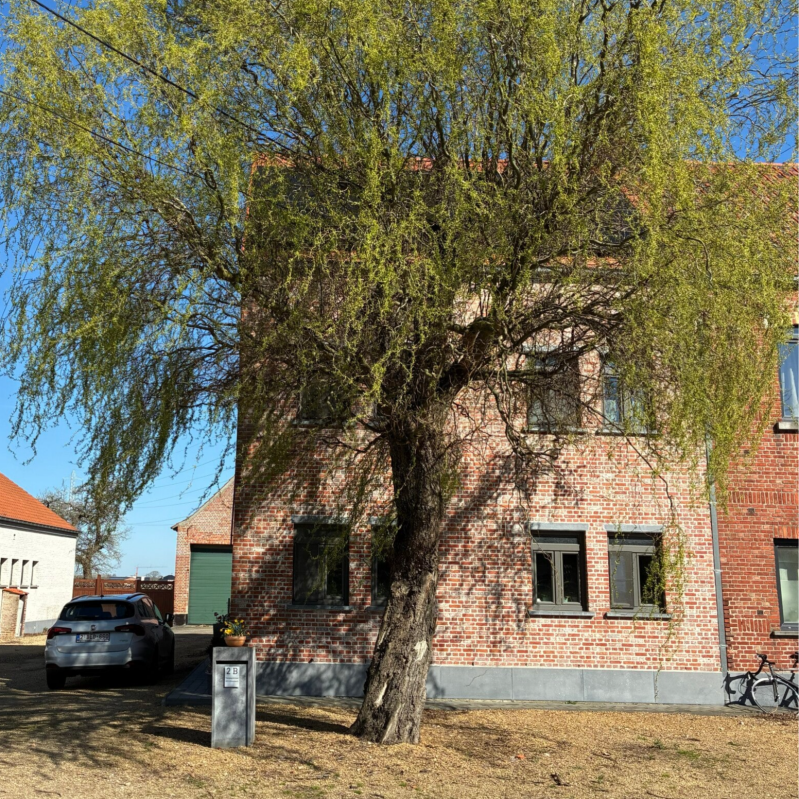 doula evy, vennestraat hombeek, zemst, zwangerschapsmassage, doula begeleiding