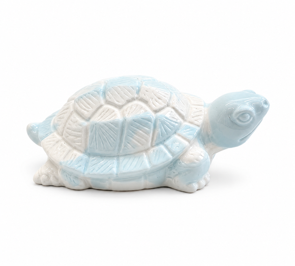 Tortue Plénitude