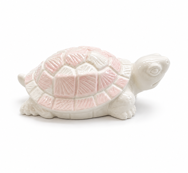 Tortue Terre nacrée