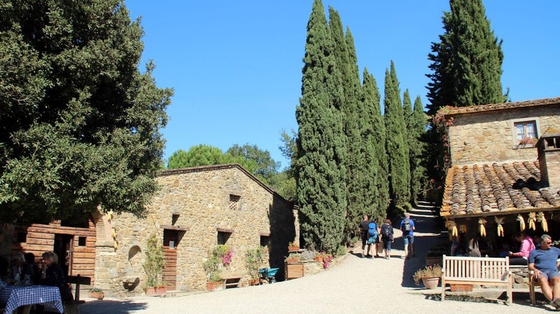Fattoria La Vialla
