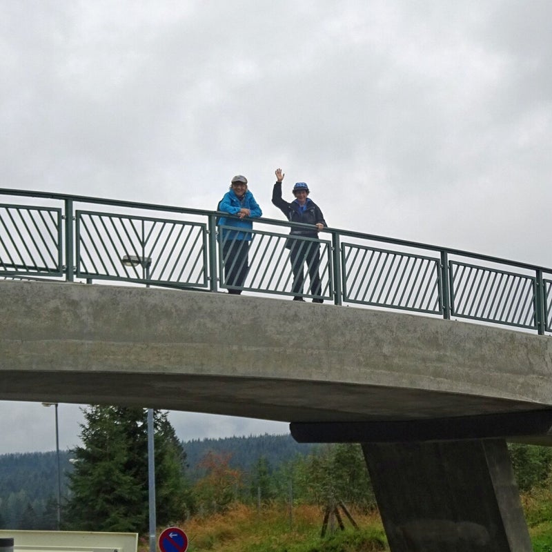 Brücke in Mühlleiten