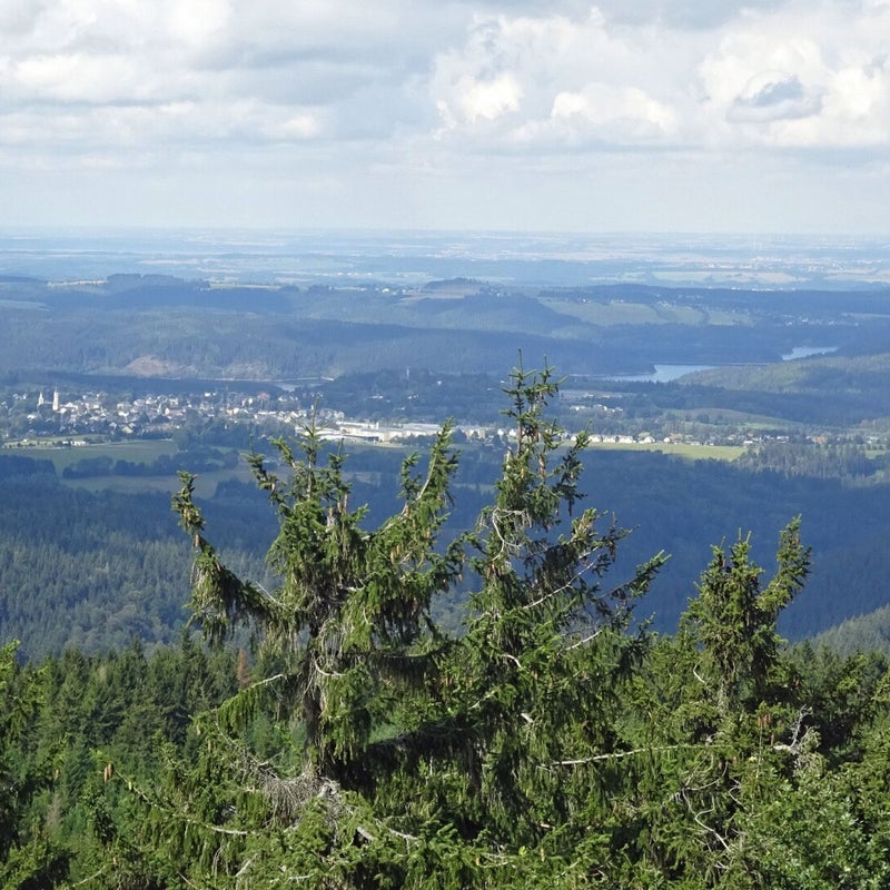 Ausblick vom Aschberg