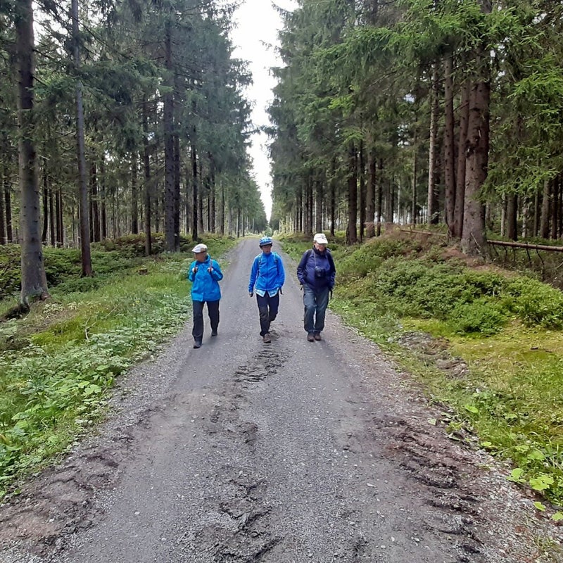 Unterwegs auf dem Erzgebirgs-Kammweg