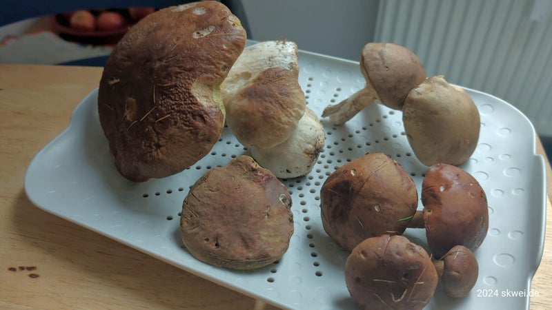 Sammelergebnis