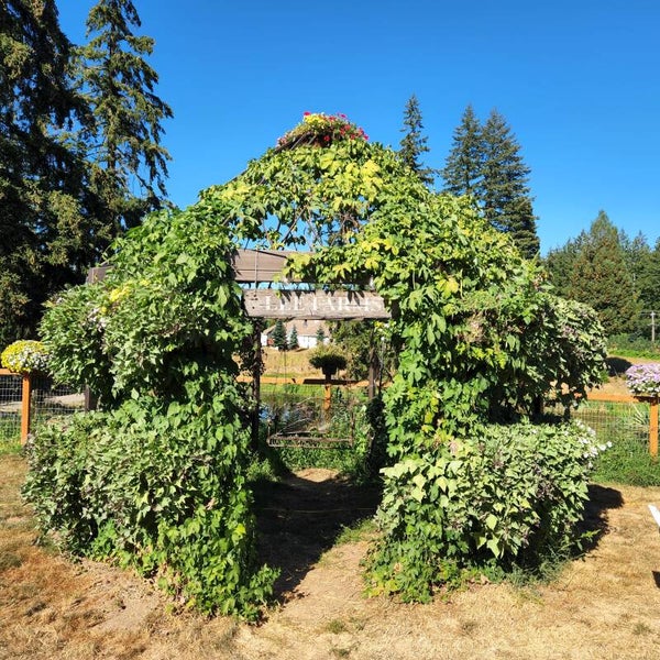 Green House