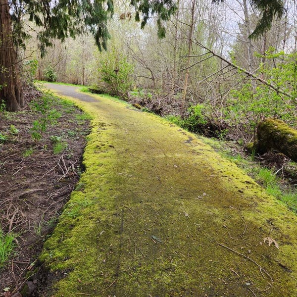 Natures Carpet