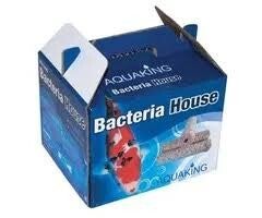 AquaKingStone Bacterial House