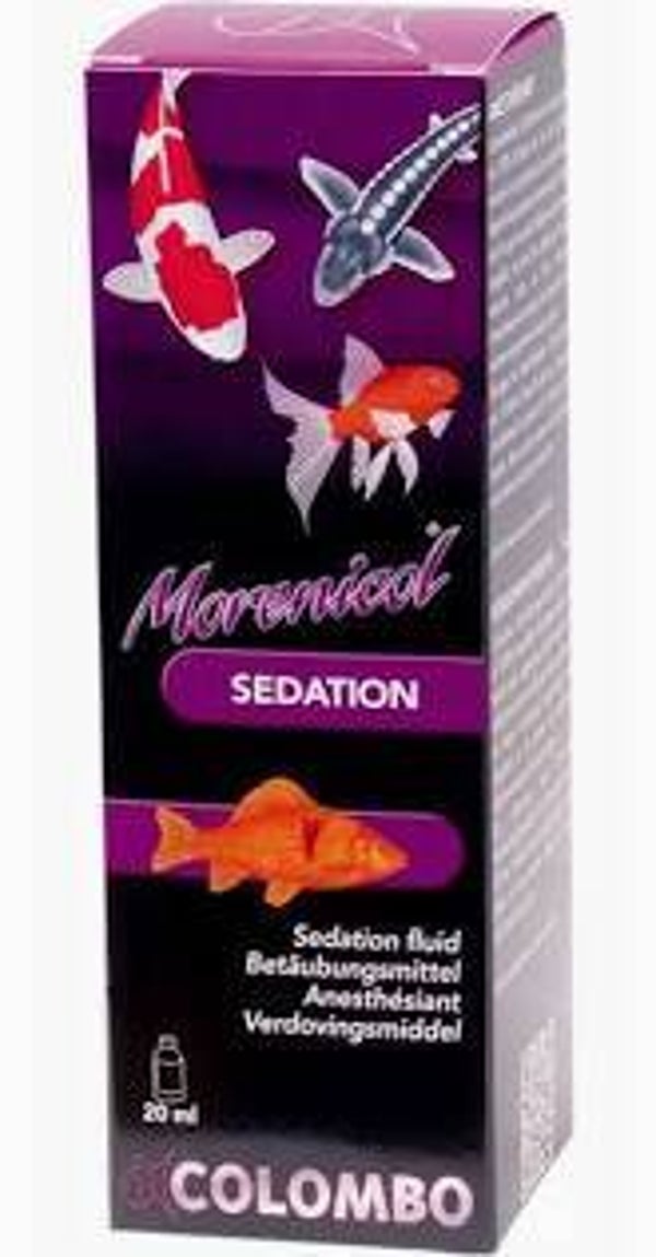 COLOMBO VERDOVING 20 ML