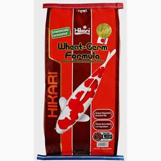 Hikari Wheat-Germ Large 10 kg / 5 kg / 2 kg