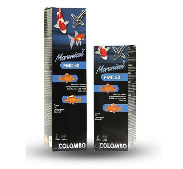 Colombo Morenicol FMC50