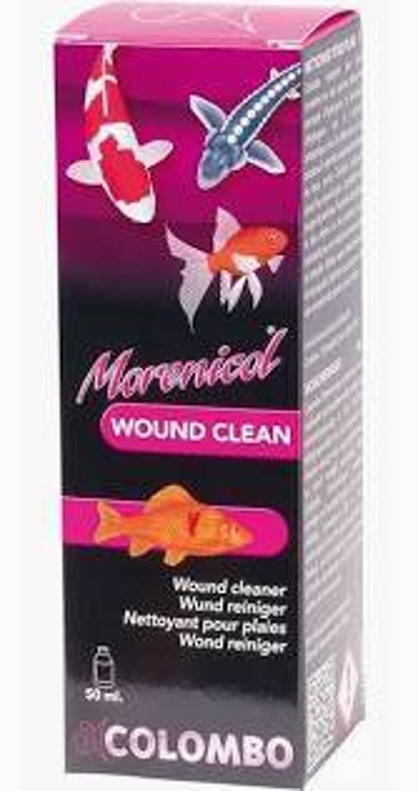 wound clean