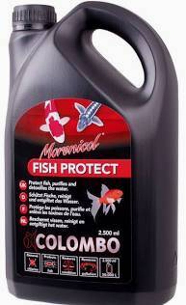 Fish protect.