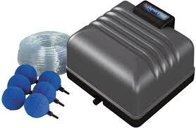 Superfish Koi Flow 60