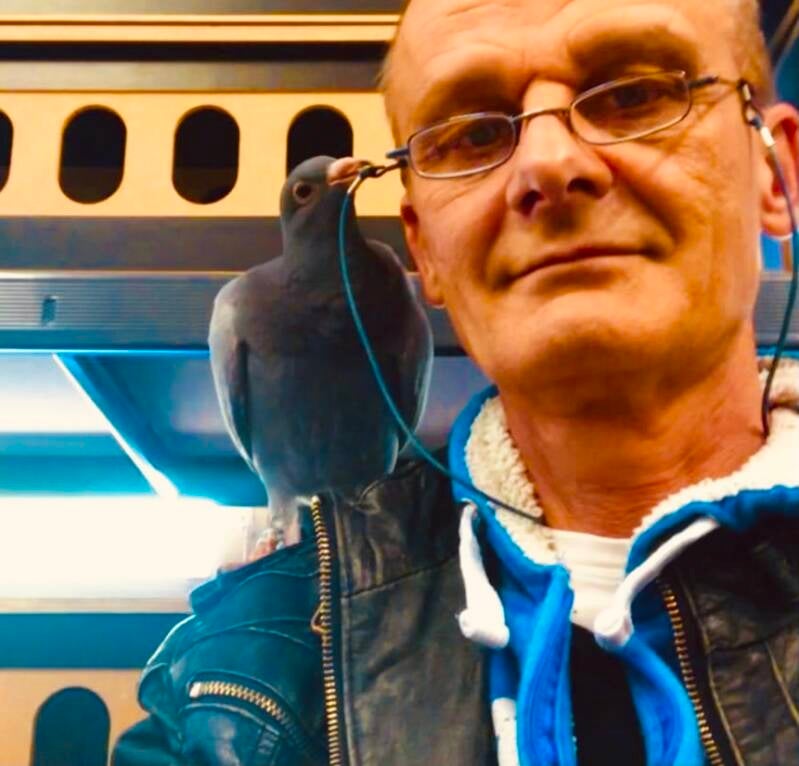 Martin mit den Tauben- Hochzeitstaube.ch