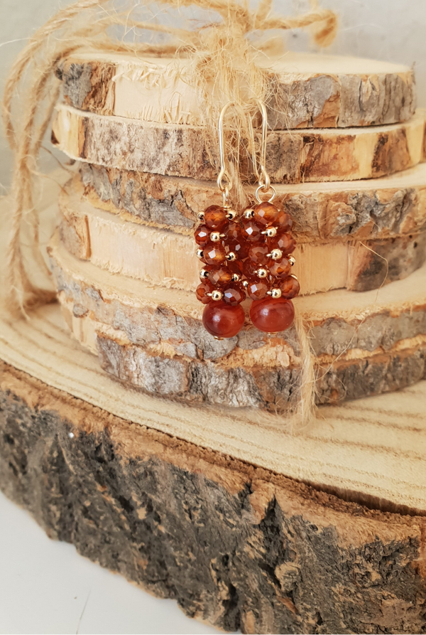 Art-Ajoure 14k Gold fill oorbellen met Carneool en Hessoniet Granaat