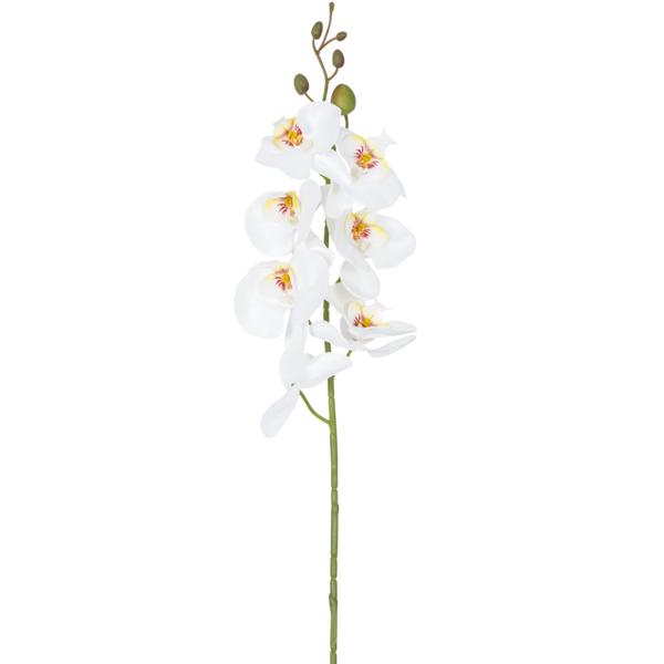 Kunstbloem Orchidee - Wit - 84 cm