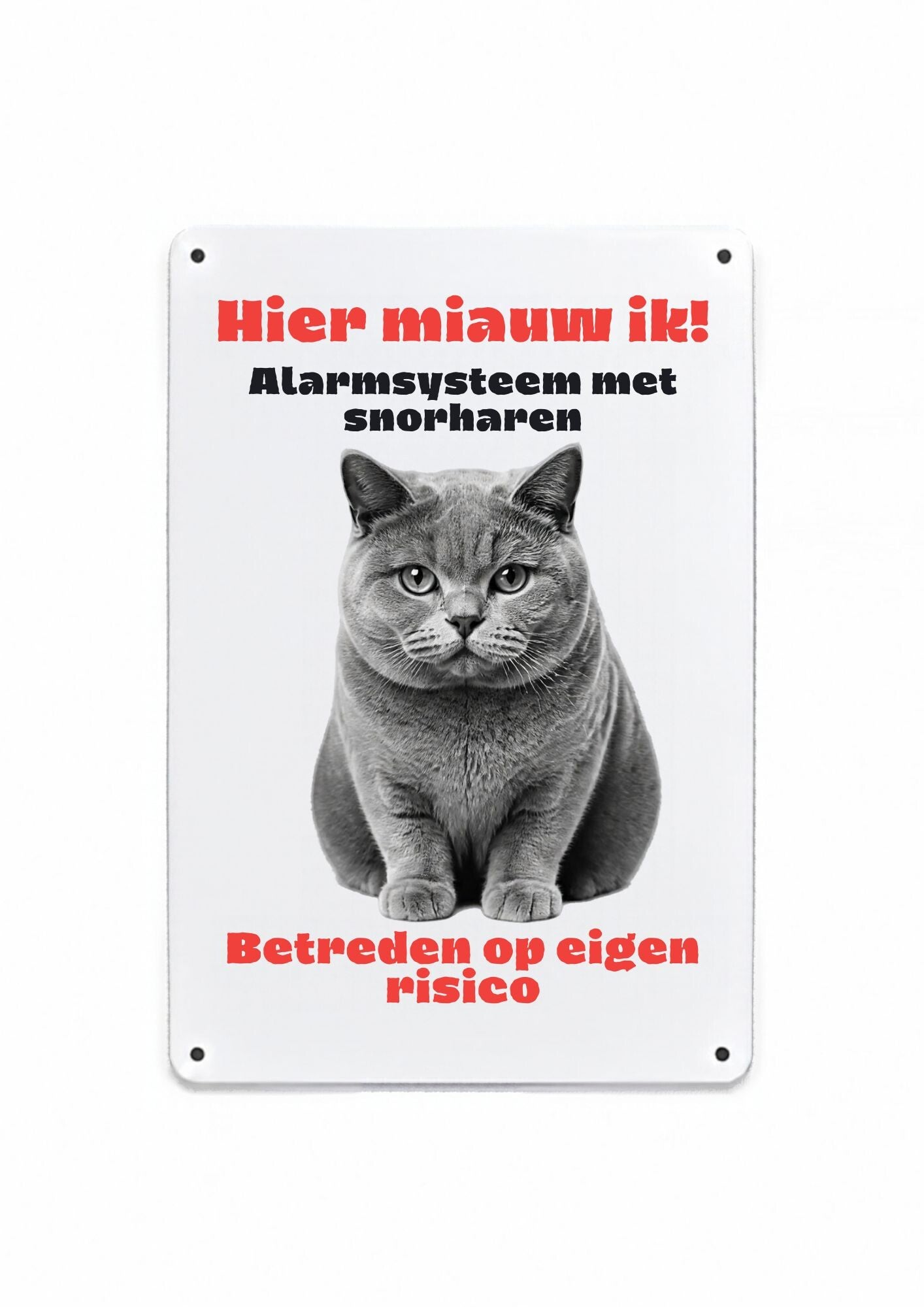 Aluminium Britse korthaar - hier miauw ik bord - 20x30 cm