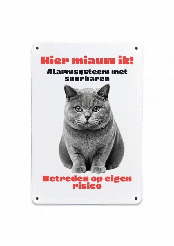 Aluminium Britse korthaar - hier miauw ik bord - 20x30 cm