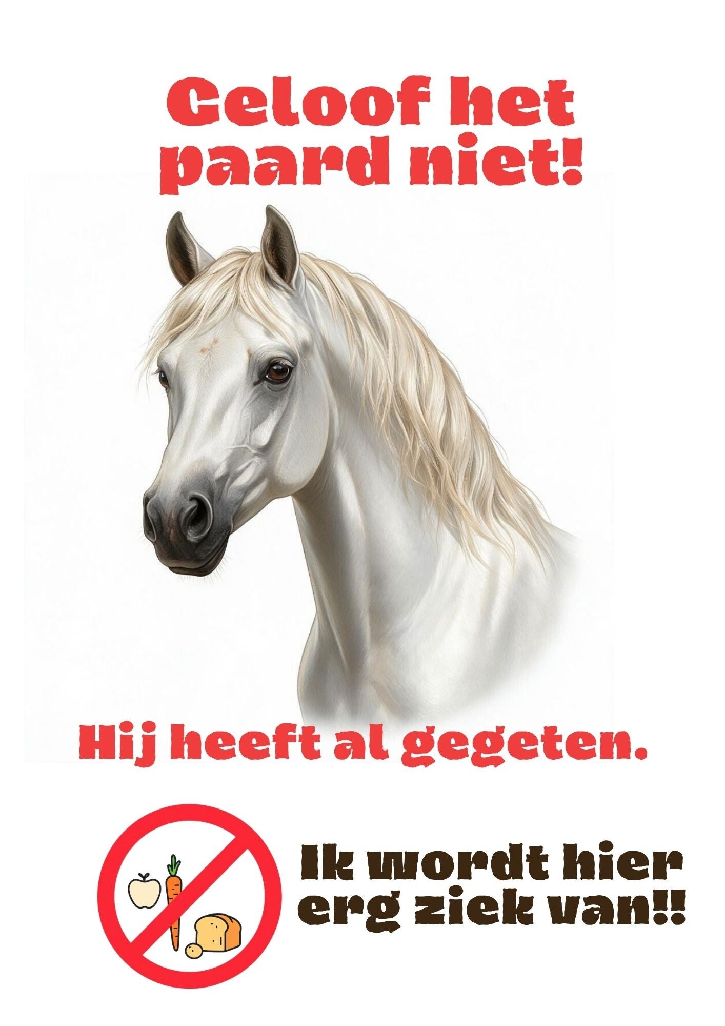 Aluminium - Niet voeren! - Witte arabier paard - 20x30 cm
