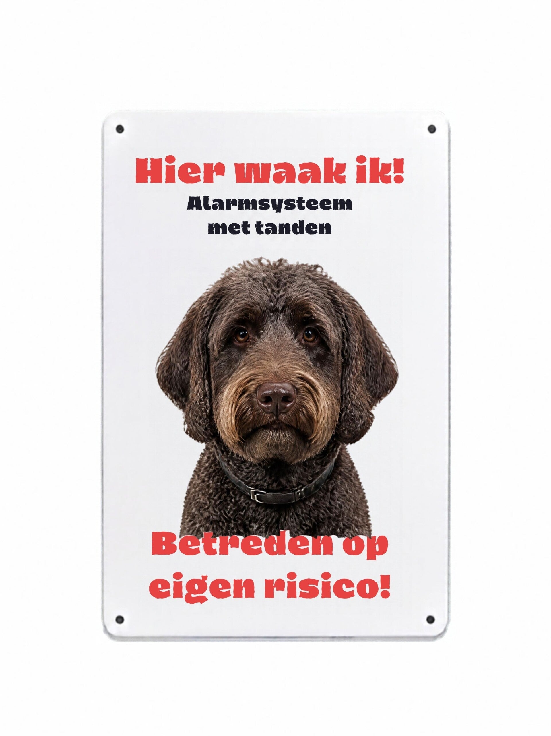 Aluminium labradoodle - Hier waak ik bord - 20x30 cm