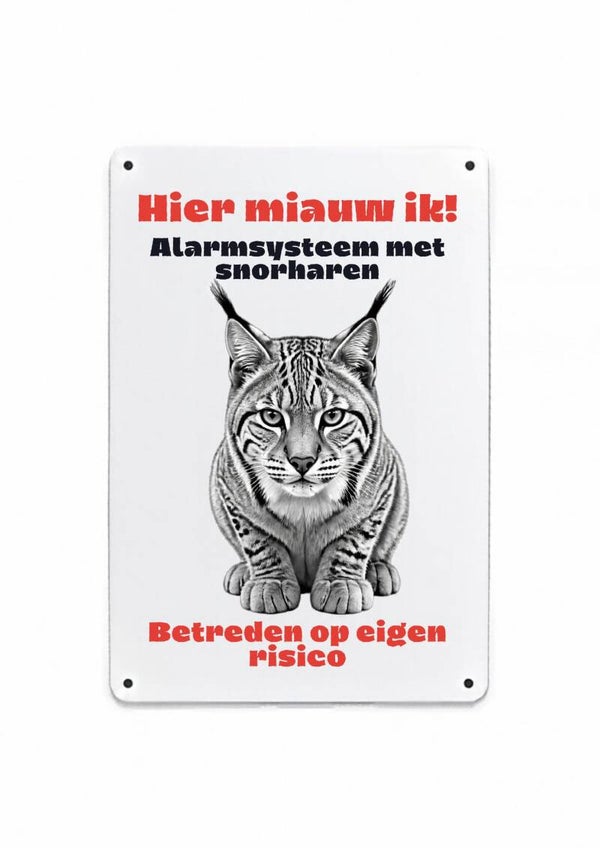 Aluminium Lynx - Hier miauw ik - 20x30 cm