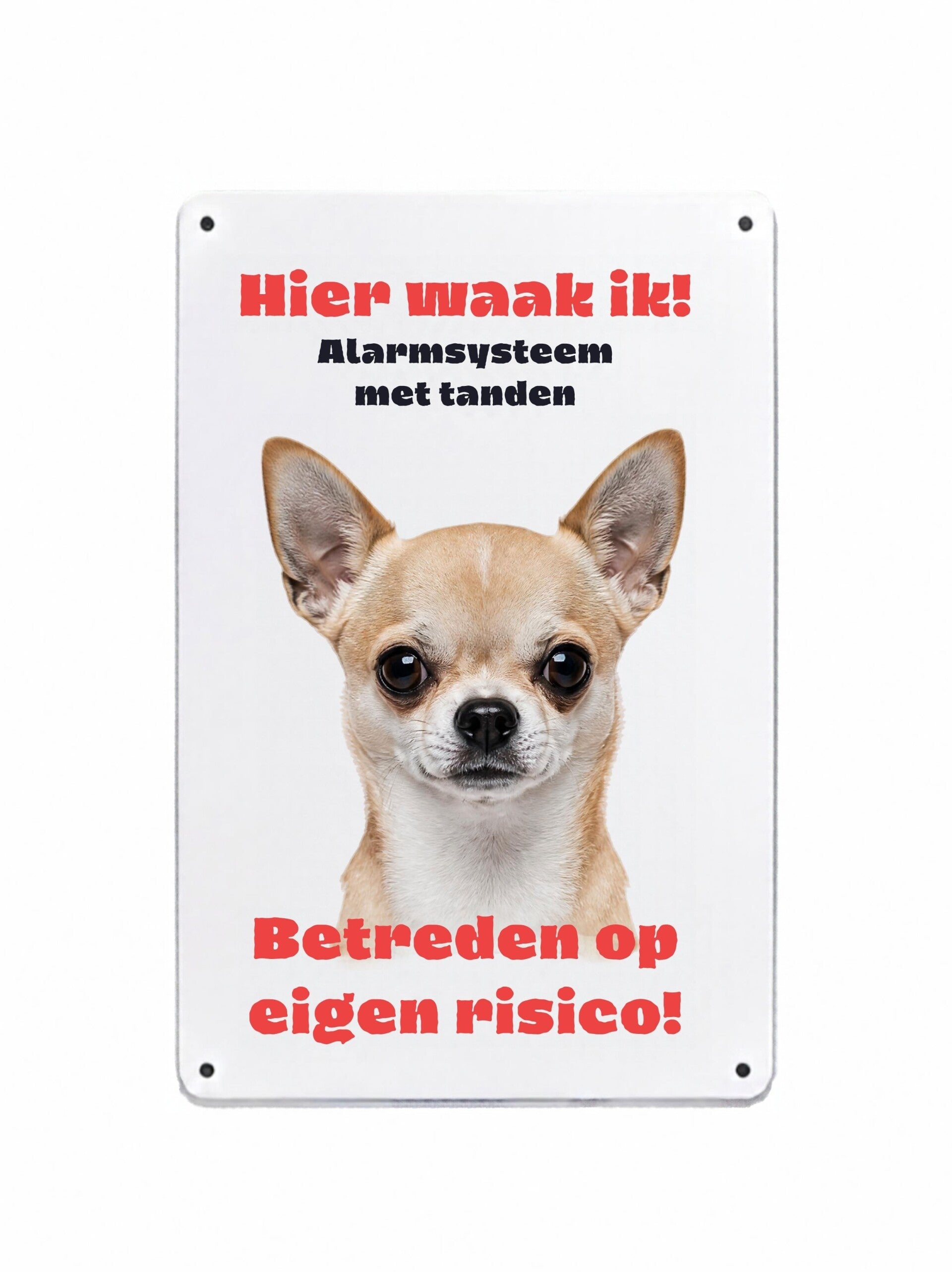 Aluminium chihuahua - Hier waak ik bord - 20x30 cm