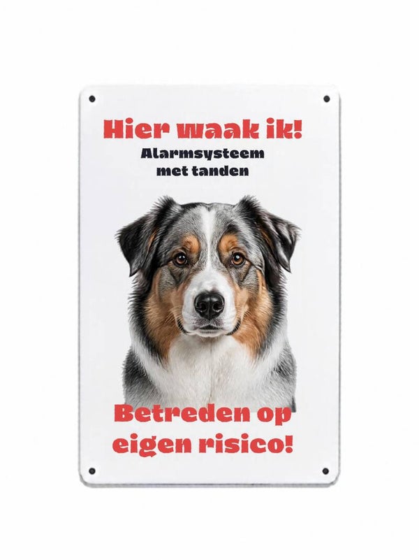 Aluminium australian shepherd - Hier waak ik bord - 10x30 cm