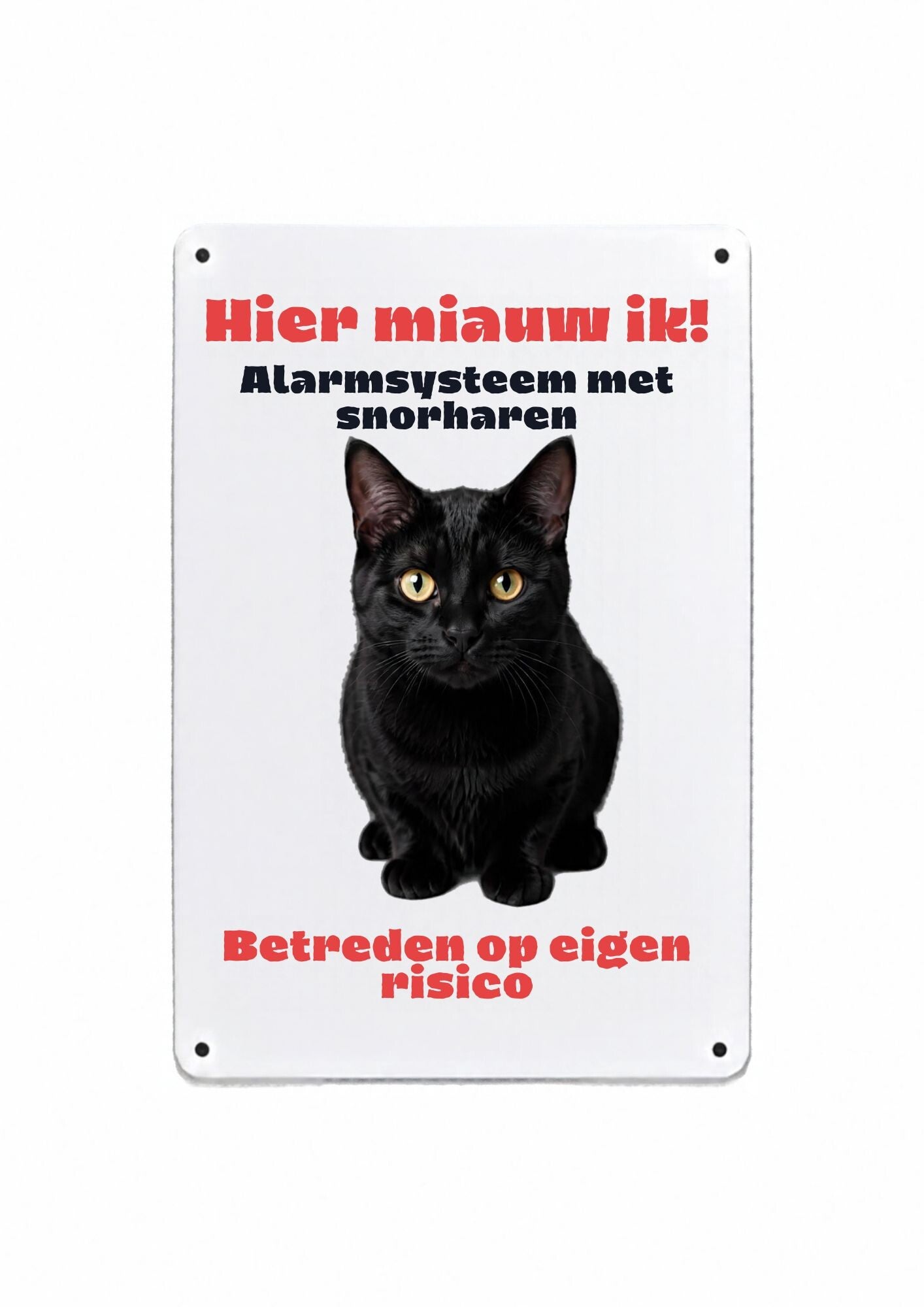 Aluminium Europese korthaar zwart - Hier miauw ik - 20x30 cm