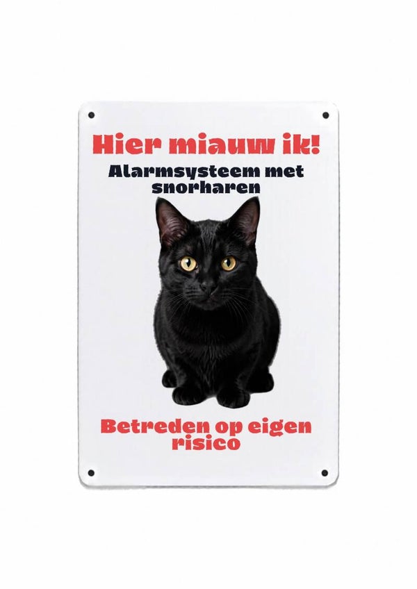 Aluminium Europese korthaar zwart - Hier miauw ik - 20x30 cm