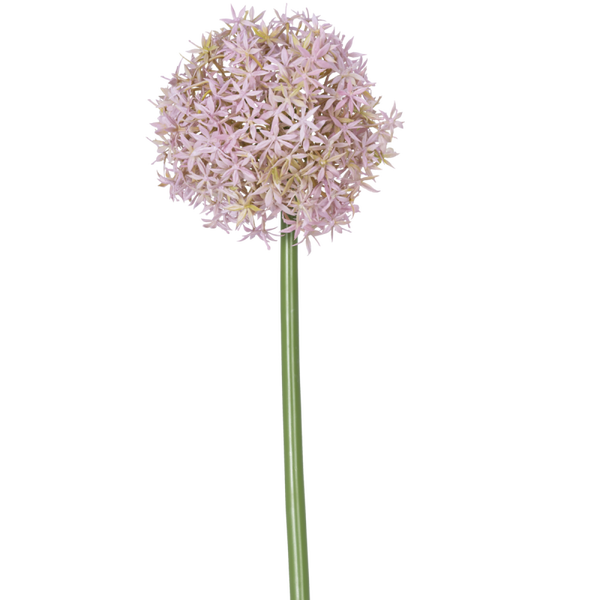Kunstbloem Allium Groot - Paars - 80 cm