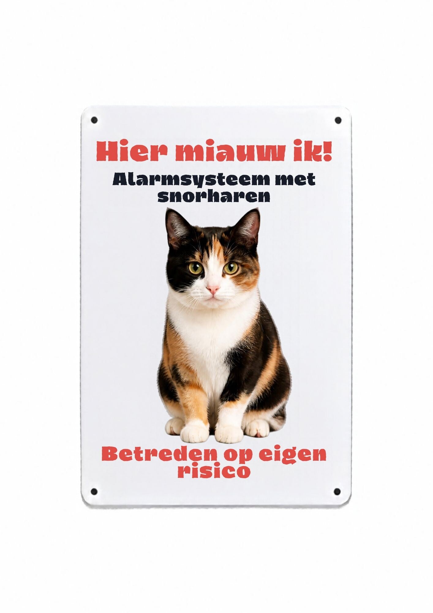 Aluminium Europese korthaar lapje - Hier miauw ik - 20x30 cm