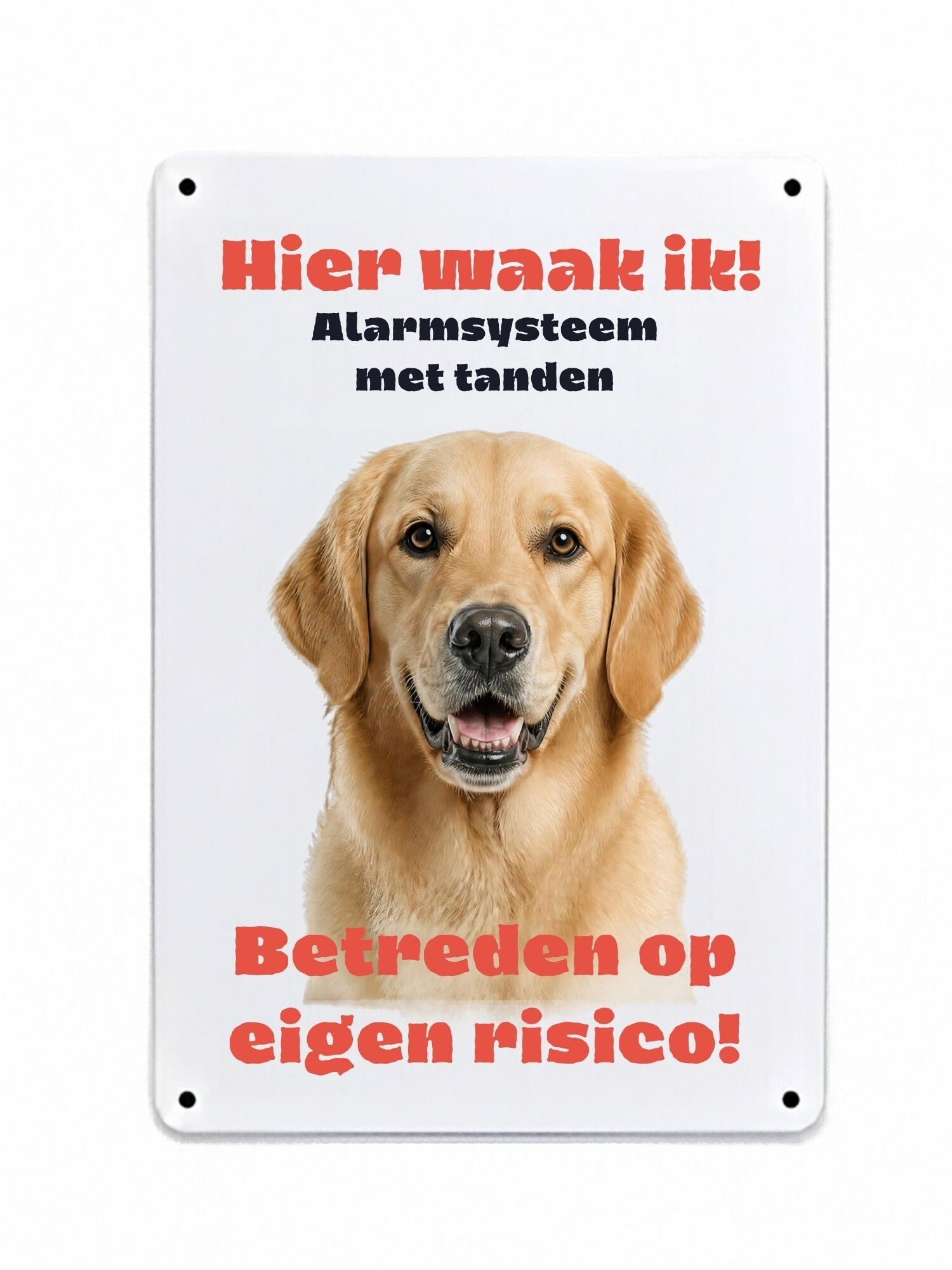 Aluminium Labrador retriever blond - Hier waak ik bord - 20x30 cm