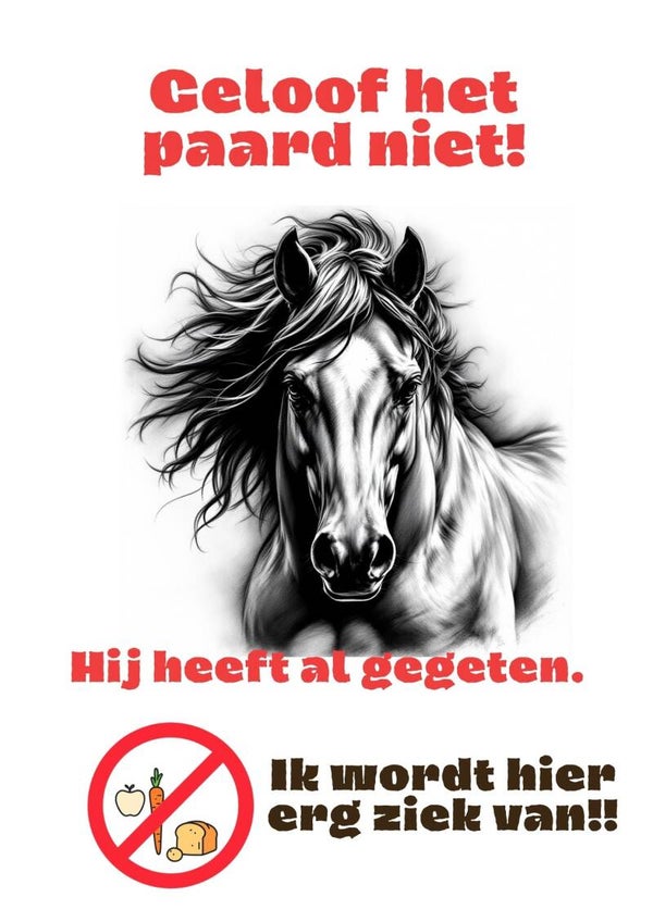 Aluminium - Niet voeren! - Paard - 20x30 cm
