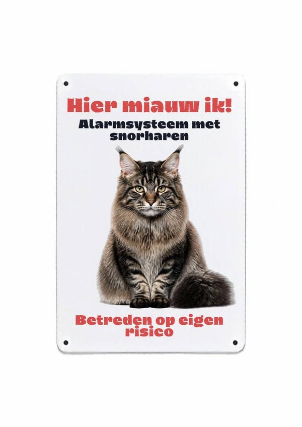 Aluminium Main coon - Hier miauw ik - 20x30 cm