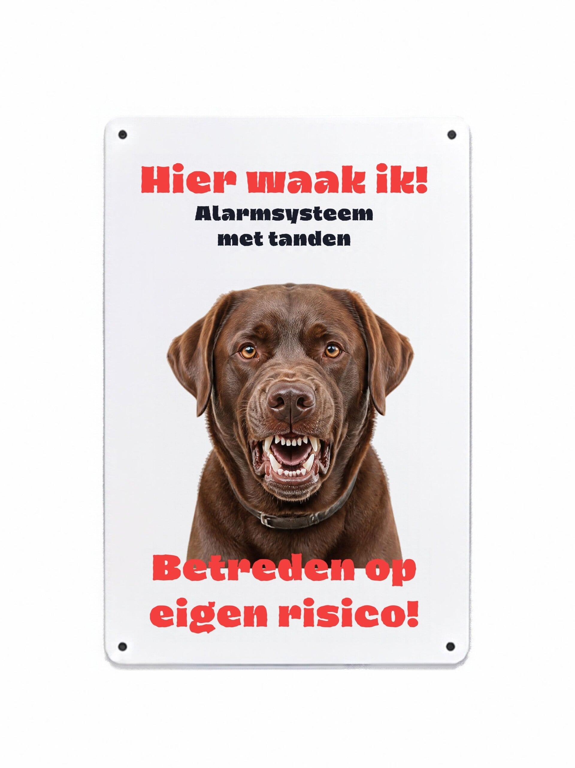 Aluminium labrador retriever choco - Hier waak ik bord - 20x30 cm