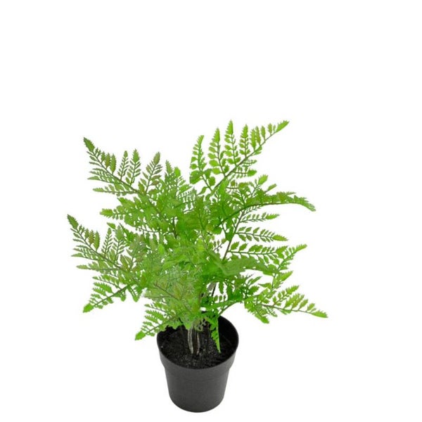 Kunstplant Varen - 35 cm