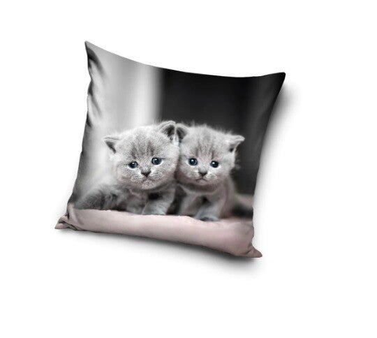 Kussenhoes Kitten - 40 x 40 cm