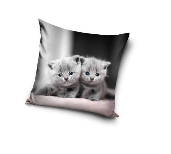 Kussenhoes Kitten - 40 x 40 cm