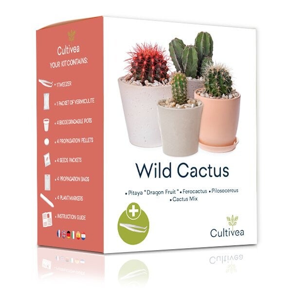 Cactus kit - Grow your own cactus - Complete set