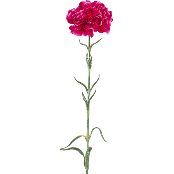 Kunstbloem Carnation - Bright pink - 69 cm