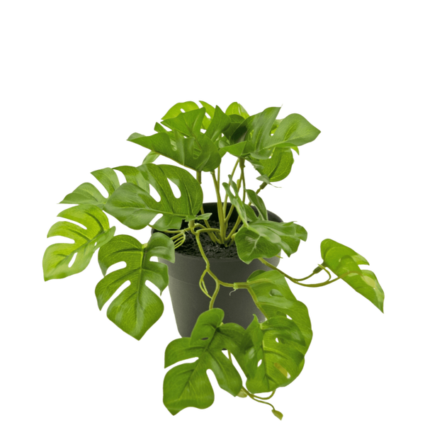 Kunstplant Monstera - 18 cm